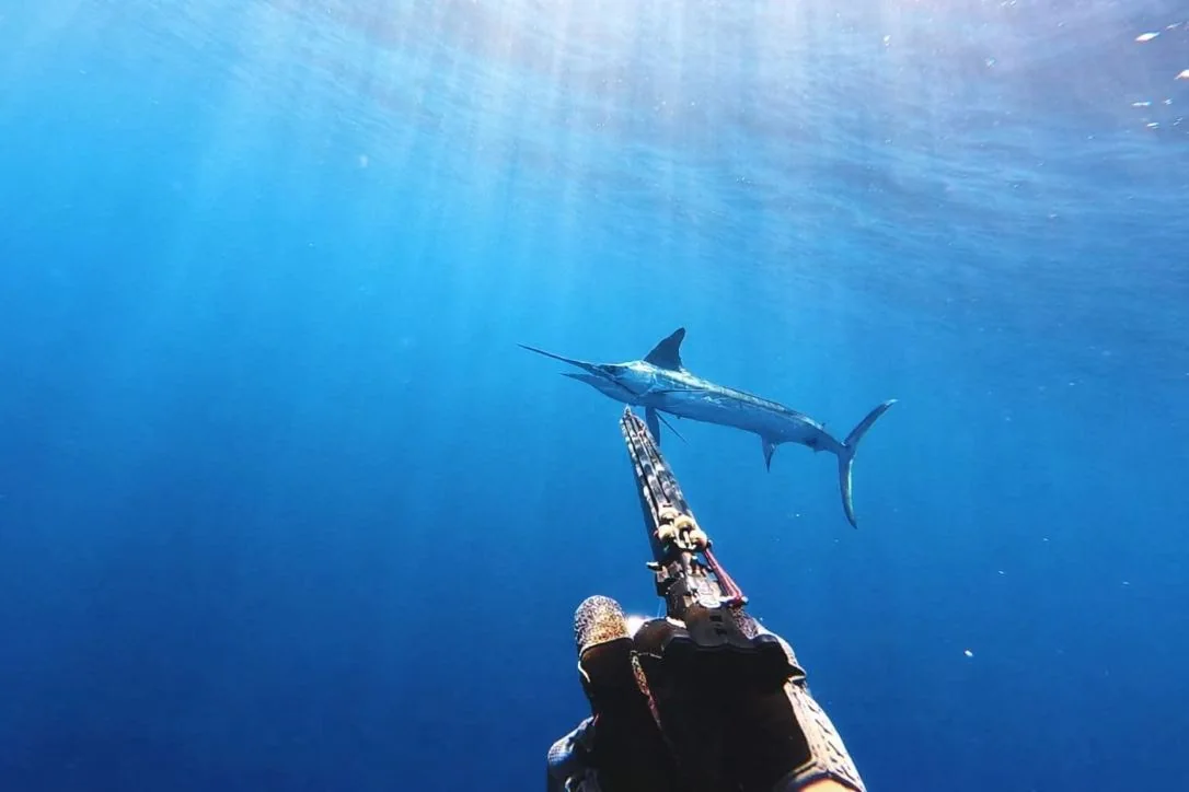 Baja Adventure · October 13