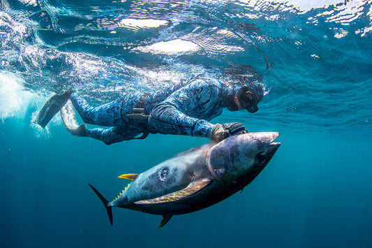 How to Go Spearfishing Safely and Effectively