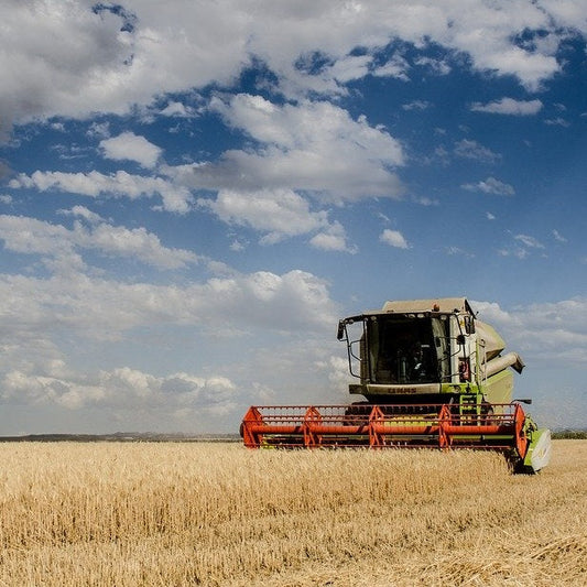 The Unseen Cost of Veganism: The Reality of Crop Death and Ethical Eating